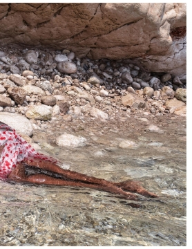 6(cover) pump magazine (7)